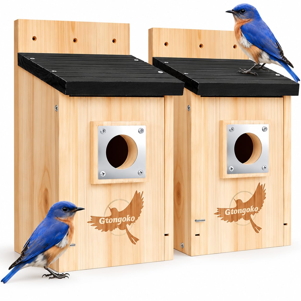 Birdhouses & Nest Boxes at Canadian Lawn