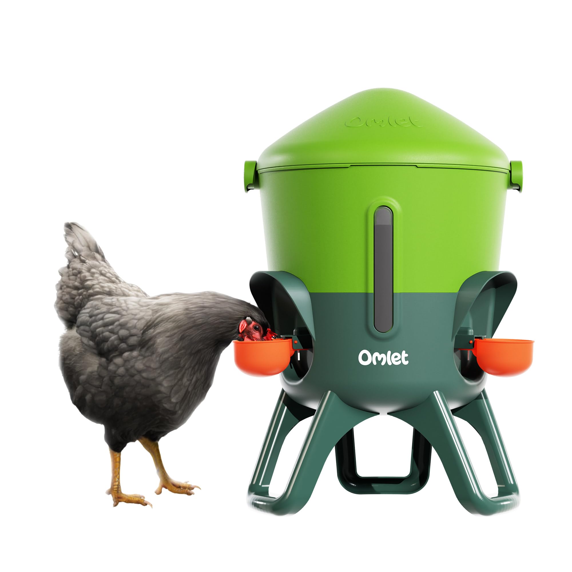 Chicken Feeders & Waterers at Canadian Lawn