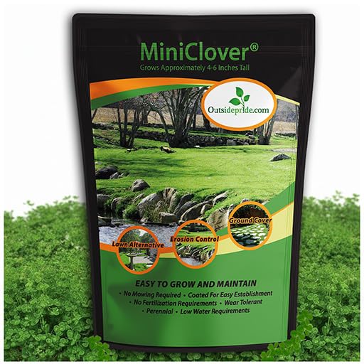 Flower Seeds at Canadian Lawn