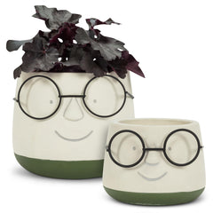 Abbott Collection planter on a windowsill with succulent showing scale and bright styling benefit
