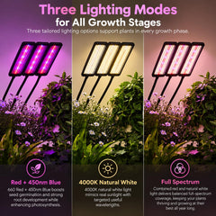 Abriselux close-up of dense LEDs and head design for stronger light