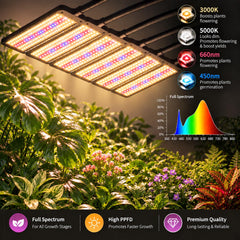 Abriselux illuminating indoor plants to boost even growth