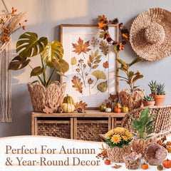 Acellegic baskets holding potted plants showing decorative greenery and display benefit