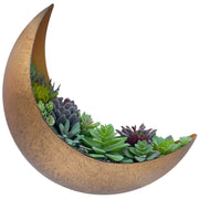 AERLO moon wall planter front view showing brushed gold finish and half-moon shape, decorative benefit
