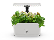 AeroGarden Harvest Lite front view showing compact cream unit and plants