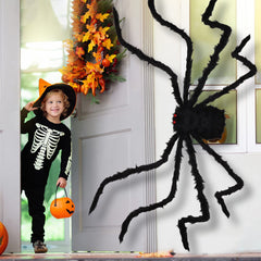 Aiduy spider posed on porch legs bent for secure, terrifying placement