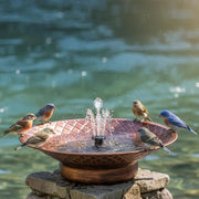 Aifeorzo front view bronze bird bath showing elegant bowl and base, attracts birds