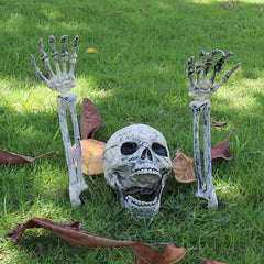 AISENO skull front view showing realistic bone detail and dramatic focal impact
