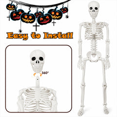 Aitbay cat skeleton perched on rail highlighting compact size and display versatility