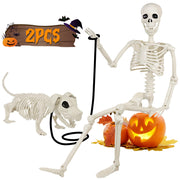 Aitbay human skeleton front view showing full 36-inch height and realistic pose benefit