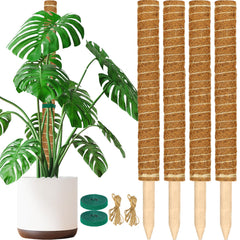 ALENEY moss poles front view showing full 4-pack and packaging benefit