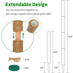 ALENEY pole with monstera attached illustrating secure plant training
