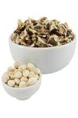 Alfabel Natural Solution close-up of PKM1 moringa seeds highlighting uniform size and easy planting