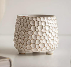 Alikexin 4-inch planter front view showing clean white finish and rustic charm