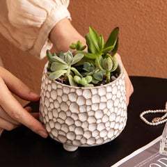 Alikexin pot used as desk organizer showing tidy pens and tools benefit