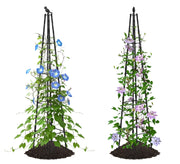 AlisisFores trellis front view showing full height and elegant shape benefiting plant display