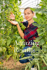 AlpineReach net holding tomatoes upright illustrating easier harvesting benefit
