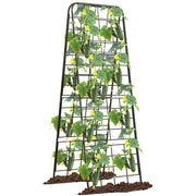 Alxcellion front view A-frame trellis showing sturdy silhouette and planting benefit