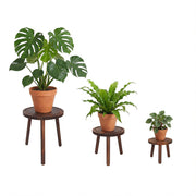 Amdermi front view of three wood plant stands showing balanced styling and space-saving benefit