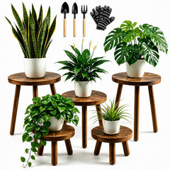 AMVAQKER five-pack front view showing all wooden plant stands and packaging, stylish display benefit