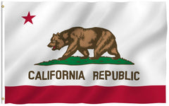 Anley California flag front view showing vivid colors and clear design benefits