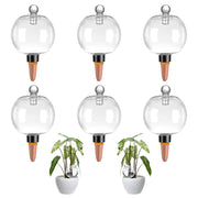 Ansberta front packaging showing six 19 oz globes and benefits