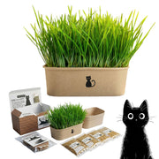 ANVEVO front packaging showing kit contents and benefit of easy indoor growing
