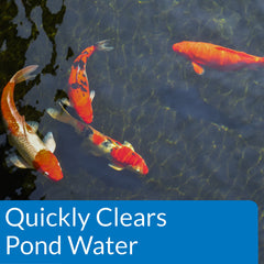 API ACCU-CLEAR treated pond clear versus untreated cloudy water benefit