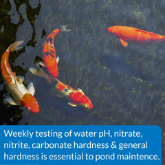 API pond strip in water demonstration for instant dip-and-read convenience