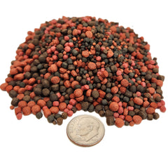 Aquatic Foods Inc. freeze-dried California blackworm close-up for protein
