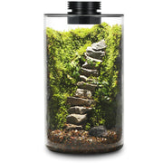 AREPK terrarium front view showing clear glass and included light, ideal for display