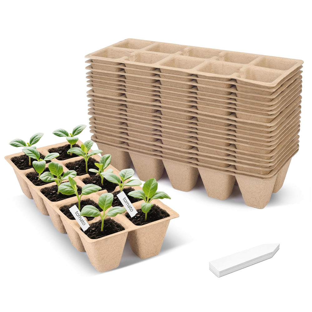 ARGCONNER front packaging showing 20-pack and 200 cells, clear organization benefit
