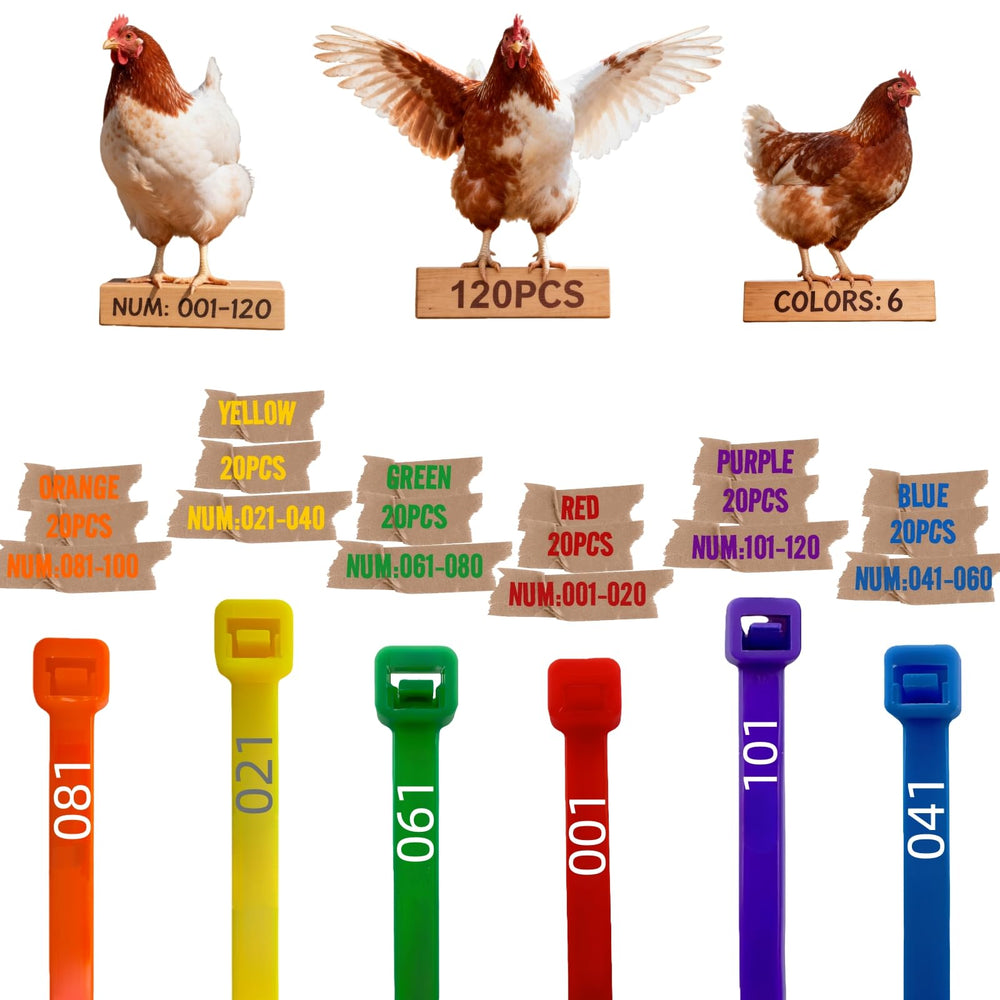 ARMLCL front packaging showing full 120-piece band set and benefit of variety