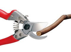 ARS pruner next to ruler showing 7-inch scale and precise control benefit