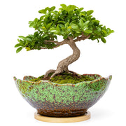 ARTKETTY front view of 9.06-inch pot showing elegant silhouette and stability