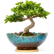 ARTKETTY front view of ceramic bonsai pot showing elegant profile and stability