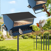 Asunder feeder front view showing feeder and feeding ports benefits easy bird access