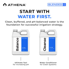 Athena Balance pouring from bottle into measuring cup for precise dosing