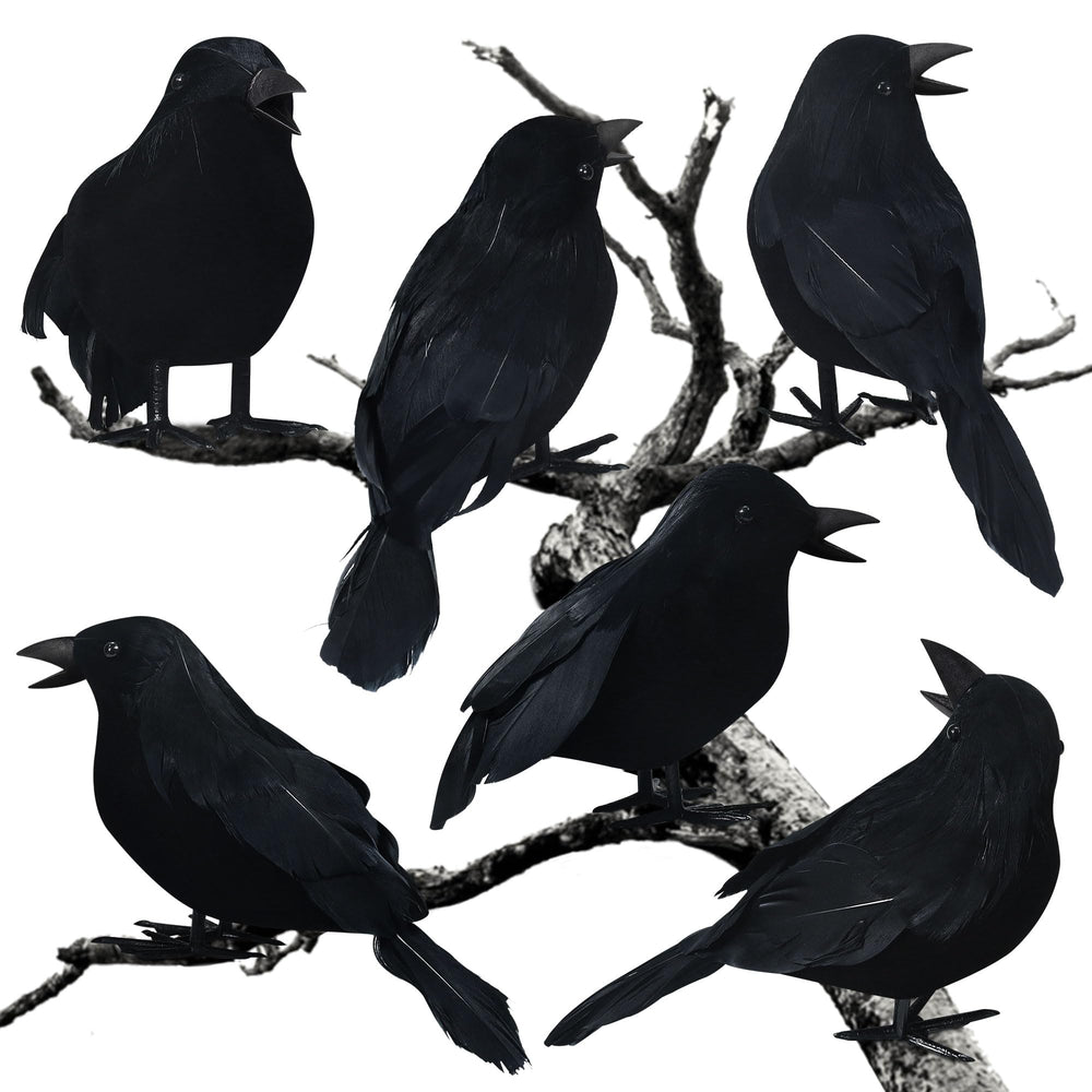 AUDFA front packaging showing six artificial crows, useful for instant spooky display