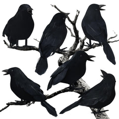 AUDFA front packaging showing six artificial crows, useful for instant spooky display