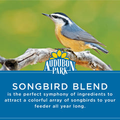 Audubon Park feeder in use with cardinal showing increased backyard visits