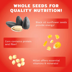 Audubon Park focused black oil sunflower seeds highlighting energy benefit