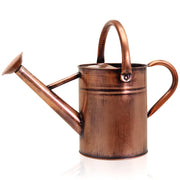 Ausluru front view galvanized watering can showing sleek design and durability