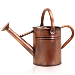 Ausluru front view galvanized watering can showing sleek design and durability