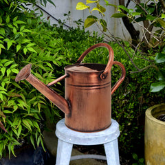 Ausluru in use watering indoor plants providing precise, gentle watering