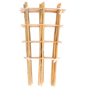 Avalution trellis front packaging showing ten pieces and product benefits