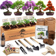 AVERGO kit box front view showing complete bonsai starter set and contents benefit