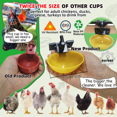ayakol large BPA-free PP cup close-up showing roomy drinking area for calmer flock access