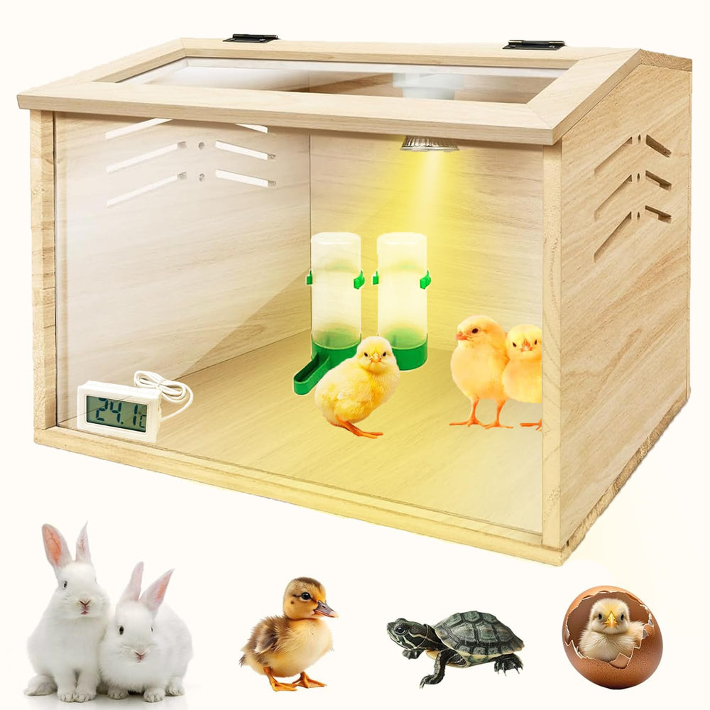 Azefun brooder box front view showing compact kit and visibility benefit