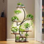 BACEKOLL front view showing corner display and layered plants for better room use